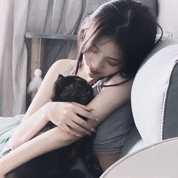 反贪风暴